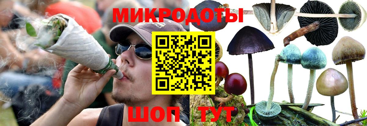 Псилоцибиновые грибы GOLDEN TEACHER Дубна