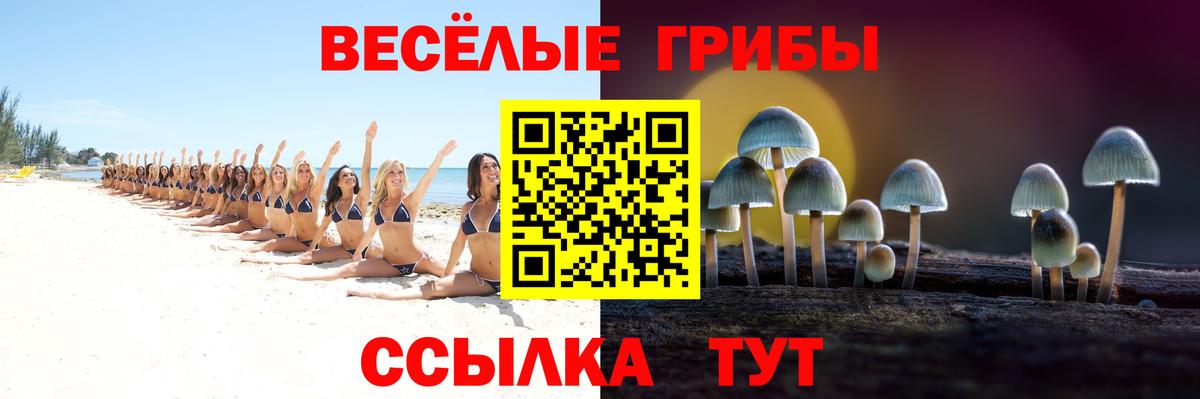 Псилоцибиновые грибы Psilocybe  Вход с VPN  Дубна 